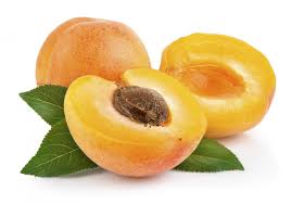 APRICOT OIL - Carrier & Vegetable Oil